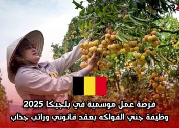 فرصة عمل موسمية في بلجيكا 2025: وظيفة جني الفواكه بعقد قانوني وراتب جذاب