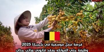فرصة عمل موسمية في بلجيكا 2025: وظيفة جني الفواكه بعقد قانوني وراتب جذاب