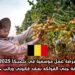 فرصة عمل موسمية في بلجيكا 2025: وظيفة جني الفواكه بعقد قانوني وراتب جذاب