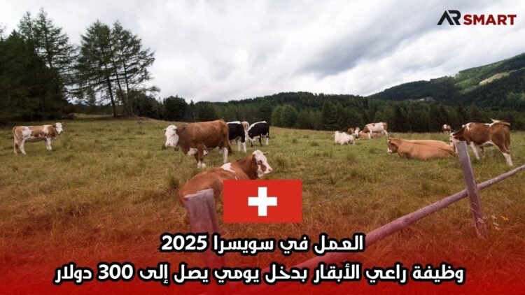 العمل في سويسرا 2025: وظيفة راعي الأبقار بدخل يومي يصل إلى 300 دولار