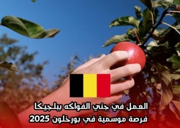 العمل في جني الفواكه ببلجيكا – فرصة موسمية في بورخلون 2025