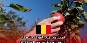 العمل في جني الفواكه ببلجيكا – فرصة موسمية في بورخلون 2025