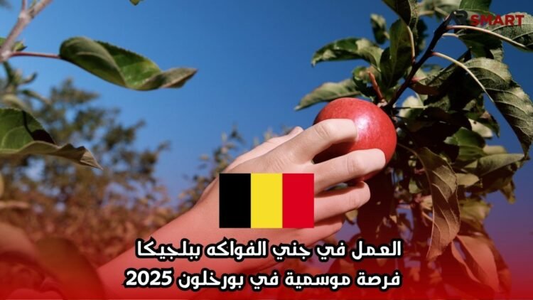العمل في جني الفواكه ببلجيكا – فرصة موسمية في بورخلون 2025