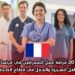 20 فرصة عمل للممرضين في فرنسا: دليلك الشامل للهجرة والعمل في قطاع الصحة الفرنسي