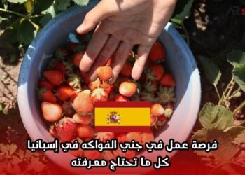 فرصة عمل في جني الفواكه في إسبانيا: كل ما تحتاج معرفته