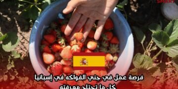 فرصة عمل في جني الفواكه في إسبانيا: كل ما تحتاج معرفته