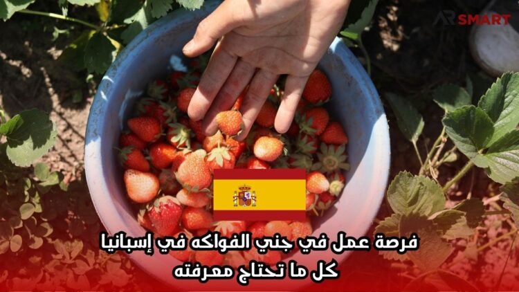 فرصة عمل في جني الفواكه في إسبانيا: كل ما تحتاج معرفته