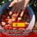 فرصة عمل في جني الفواكه في إسبانيا: كل ما تحتاج معرفته
