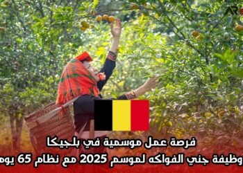 فرصة عمل موسمية في بلجيكا: وظيفة جني الفواكه لموسم 2025 مع نظام 65 يوم