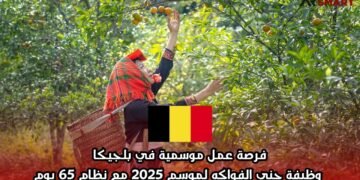 فرصة عمل موسمية في بلجيكا: وظيفة جني الفواكه لموسم 2025 مع نظام 65 يوم