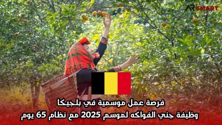 فرصة عمل موسمية في بلجيكا: وظيفة جني الفواكه لموسم 2025 مع نظام 65 يوم