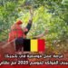 فرصة عمل موسمية في بلجيكا: وظيفة جني الفواكه لموسم 2025 مع نظام 65 يوم