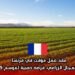 عقد عمل مؤقت في فرنسا في المجال الزراعي: فرصة ذهبية لموسم 2025