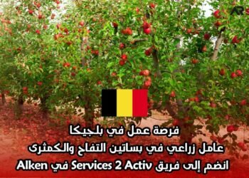 فرصة عمل في بلجيكا: عامل زراعي في بساتين التفاح والكمثرى – انضم إلى فريق Services 2 Activ في Alken