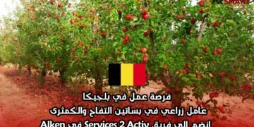 فرصة عمل في بلجيكا: عامل زراعي في بساتين التفاح والكمثرى – انضم إلى فريق Services 2 Activ في Alken