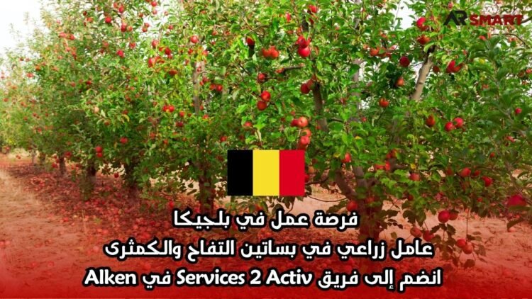 فرصة عمل في بلجيكا: عامل زراعي في بساتين التفاح والكمثرى – انضم إلى فريق Services 2 Activ في Alken