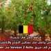 فرصة عمل في بلجيكا: عامل زراعي في بساتين التفاح والكمثرى – انضم إلى فريق Services 2 Activ في Alken