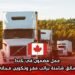 عمل مضمون في كندا: سائق شاحنة براتب مغرٍ وتكوين مجاني