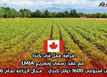 فرصة عمل في كندا مع عقد رسمي وتصريح LMIA براتب أسبوعي 1600 دولار كندي – مجال الزراعة لعام 2026