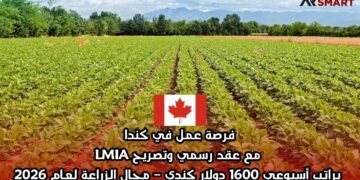 فرصة عمل في كندا مع عقد رسمي وتصريح LMIA براتب أسبوعي 1600 دولار كندي – مجال الزراعة لعام 2026