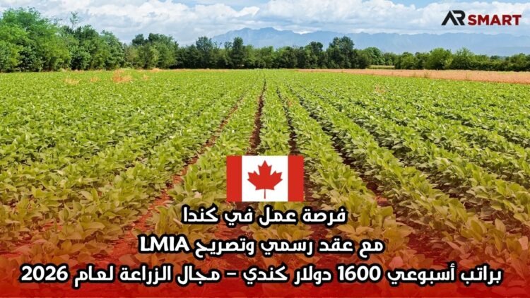 فرصة عمل في كندا مع عقد رسمي وتصريح LMIA براتب أسبوعي 1600 دولار كندي – مجال الزراعة لعام 2026