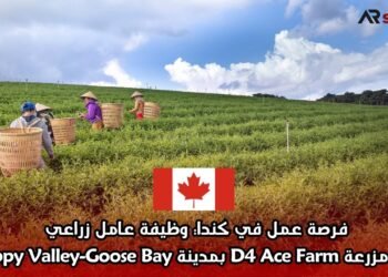 فرصة عمل في كندا: وظيفة عامل زراعي في مزرعة D4 Ace Farm بمدينة Happy Valley-Goose Bay