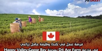 فرصة عمل في كندا: وظيفة عامل زراعي في مزرعة D4 Ace Farm بمدينة Happy Valley-Goose Bay
