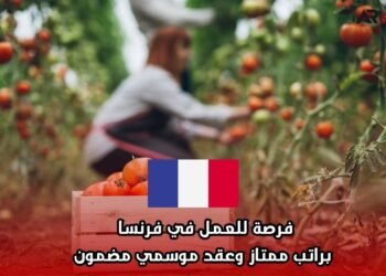 فرصة للعمل في فرنسا براتب ممتاز وعقد موسمي مضمون