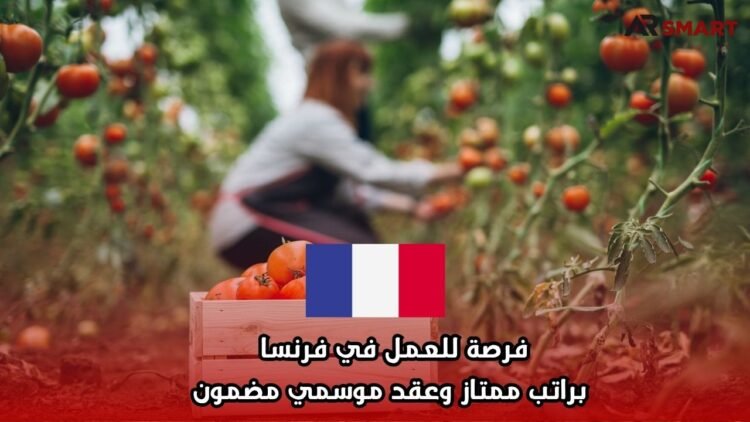 فرصة للعمل في فرنسا براتب ممتاز وعقد موسمي مضمون