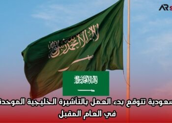 السعودية تتوقع بدء العمل بالتأشيرة الخليجية الموحدة في العام المقبل