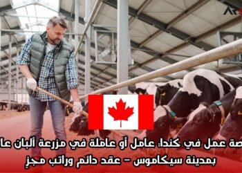  فرصة عمل في كندا: عامل أو عاملة في مزرعة ألبان عائلية بمدينة سيكاموس – عقد دائم وراتب مجزٍ