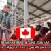  فرصة عمل في كندا: عامل أو عاملة في مزرعة ألبان عائلية بمدينة سيكاموس – عقد دائم وراتب مجزٍ