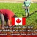 فرصة عمل موسمية في كندا: وظيفة عامل زراعي لدى شركة Mann Agri Holdings & Contracting Ltd. في مدينة أبوتسفورد – كولومبيا البريطانية