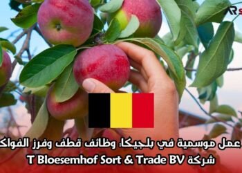 فرصة عمل موسمية في بلجيكا: وظائف قطف وفرز الفواكه لدى شركة T Bloesemhof Sort & Trade BV