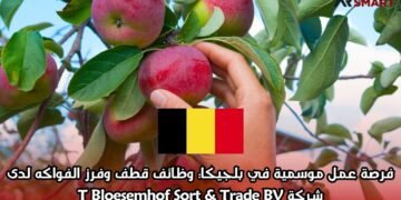 فرصة عمل موسمية في بلجيكا: وظائف قطف وفرز الفواكه لدى شركة T Bloesemhof Sort & Trade BV