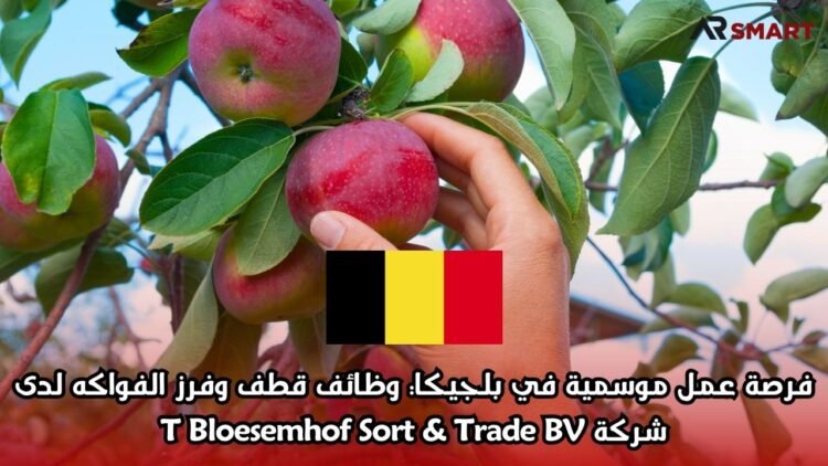 فرصة عمل موسمية في بلجيكا: وظائف قطف وفرز الفواكه لدى شركة T Bloesemhof Sort & Trade BV