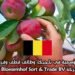 فرصة عمل موسمية في بلجيكا: وظائف قطف وفرز الفواكه لدى شركة T Bloesemhof Sort & Trade BV
