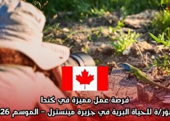 فرصة عمل مميزة في كندا: مصوّر/ة للحياة البرية في جزيرة مينسترل – الموسم 2026