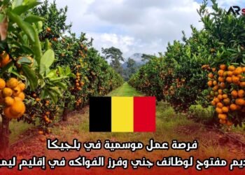 فرصة عمل موسمية في بلجيكا: التقديم مفتوح لوظائف جني وفرز الفواكه في إقليم ليمبورغ