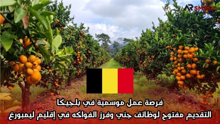 فرصة عمل موسمية في بلجيكا: التقديم مفتوح لوظائف جني وفرز الفواكه في إقليم ليمبورغ
