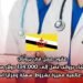 عقود عمل في بروناي للأطباء برواتب تصل إلى 134,000 دولار سنويًا – فرصة عالمية مميزة بشروط سهلة ومزايا استثنائية