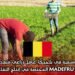 فرصة عمل موسمية في بلجيكا: عامل زراعي متعدد المهام لدى شركة MADEFRU BV المختصة في إنتاج التفاح والإجاص