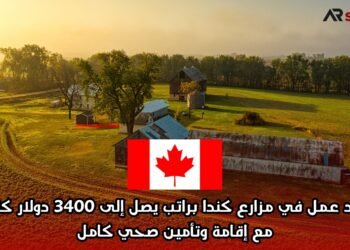 عقود عمل في مزارع كندا براتب يصل إلى 3400 دولار كندي مع إقامة وتأمين صحي كامل