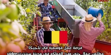 فرصة عمل موسمية في بلجيكا: مطلوب عمّال جني وفرز الفواكه في مدينة سينت-ترuiden