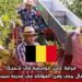 فرصة عمل موسمية في بلجيكا: مطلوب عمّال جني وفرز الفواكه في مدينة سينت-ترuiden