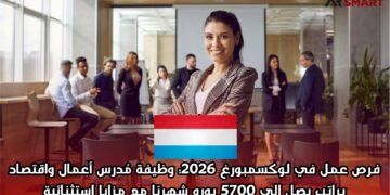 فرص عمل في لوكسمبورغ 2026: وظيفة مُدرس أعمال واقتصاد براتب يصل إلى 5700 يورو شهريًا مع مزايا استثنائية