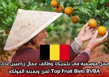 فرصة عمل موسمية في بلجيكا: وظائف عمال زراعيين لدى شركة Top Fruit Biets BVBA لفرز وتعبئة الفواكه