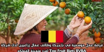 فرصة عمل موسمية في بلجيكا: وظائف عمال زراعيين لدى شركة Top Fruit Biets BVBA لفرز وتعبئة الفواكه