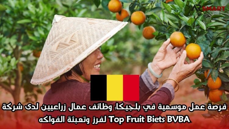 فرصة عمل موسمية في بلجيكا: وظائف عمال زراعيين لدى شركة Top Fruit Biets BVBA لفرز وتعبئة الفواكه