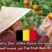 فرصة عمل موسمية في بلجيكا: وظائف عمال زراعيين لدى شركة Top Fruit Biets BVBA لفرز وتعبئة الفواكه